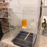 قفس بزرگ