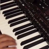 فروش ارک