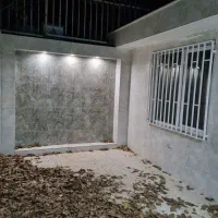 همخانه خانم بی حاشیه