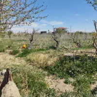 فروش باغچه چهاردیواری شده