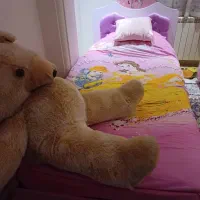 تخت|تخت و سرویس خواب|بندر انزلی, معلم|دیوار