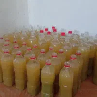 کاملا طبیعی دستی