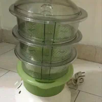 بخار پز تفال
