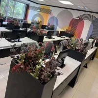 دوره های آموزشی متنوع در تابستان+معرفی به بازارکار