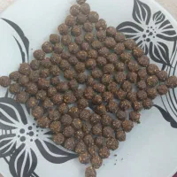 دانه گیاهی