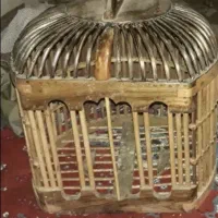 پرنده