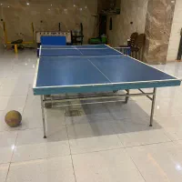میز پینگ پنگ