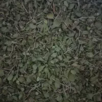 فروشی|خوردنی و آشامیدنی|لیکک, |دیوار