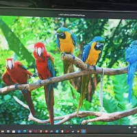 مانیتور جی پلاس GDM 245LN