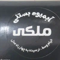 نیروساده کاردرابمیوه بستنی