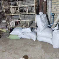 کود کبوتر خشک درجه یک تمیز