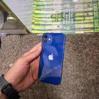 12Normal