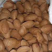 بادام درختی درجه یک