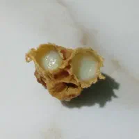 ژل رویال