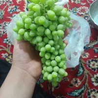 غوره عسگری