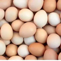 تخم مرغ محلی سالم تازه
