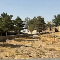 مرغداری تخم گذار