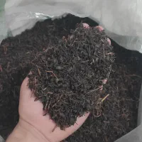 قلم۲ بهاره ۱۴۰۵