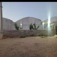 گلخانه فروشی