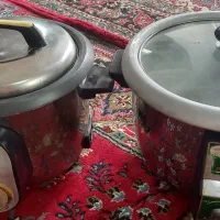 پلوپز برقی