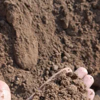 خاک باغچه گل و گیاه و باغ