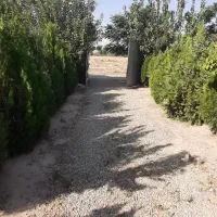 باغچه-فروشی-ده-عباس