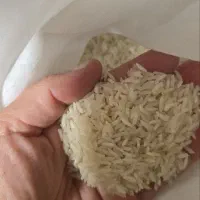 برنج