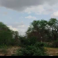 زمین-قطعه-23-مهرشهر-240-متری-تکبرگ-سند