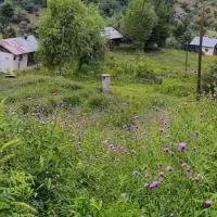 نیازمند-سوییت-یا-منزل-نقلی