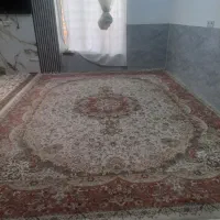 قالی|فرش|سیرجان, |دیوار