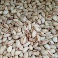 پسته احمد آقایی