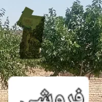 زمین-حاشیه-بلوار-جهاد-معاوضه-با-آپارتمان-و-باغ