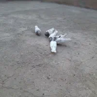 موکت 6تاکله ای فروشی