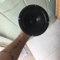میدرنج اصل ژاپن