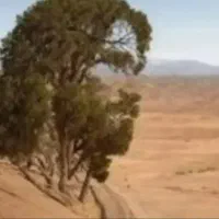 باغبانی.در روستاهای اطراف قم.وخودقم