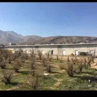 خانواده اتباع یا ایرانی