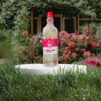 گلاب معمولی و دو آتیشه