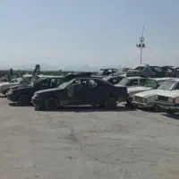 دوتیکه تصادفی اسقاطی