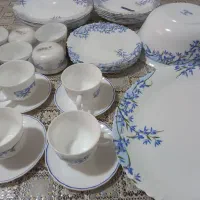 آکروپال  آلیا