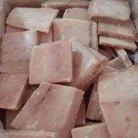 ماهی جنوب منجمد