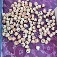 نیازمند کارمند جهت مغازه خشکبار