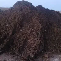 کود حیوانی پوسیده