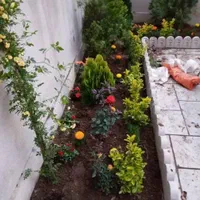 خدمات باغبانی کوددهی گلکاری کاشت گل هرس درختان