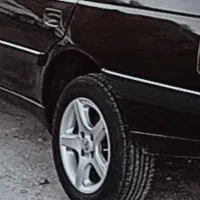پنج پر بالاستیک بارز ۸۰ درصد