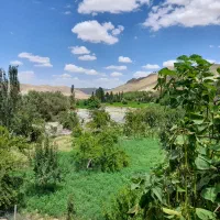 سوییت-خانه-مسافرشالیزار-کلات-نادر-روستای-قاباخ