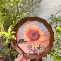 سینی افتاب گردون