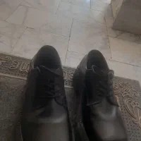 بلانس سیا