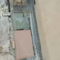 قفس سالم وبزرگ اندازه 100 در 40