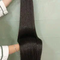 کش دم اسبی