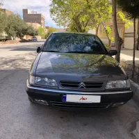 زانتیا خانگی